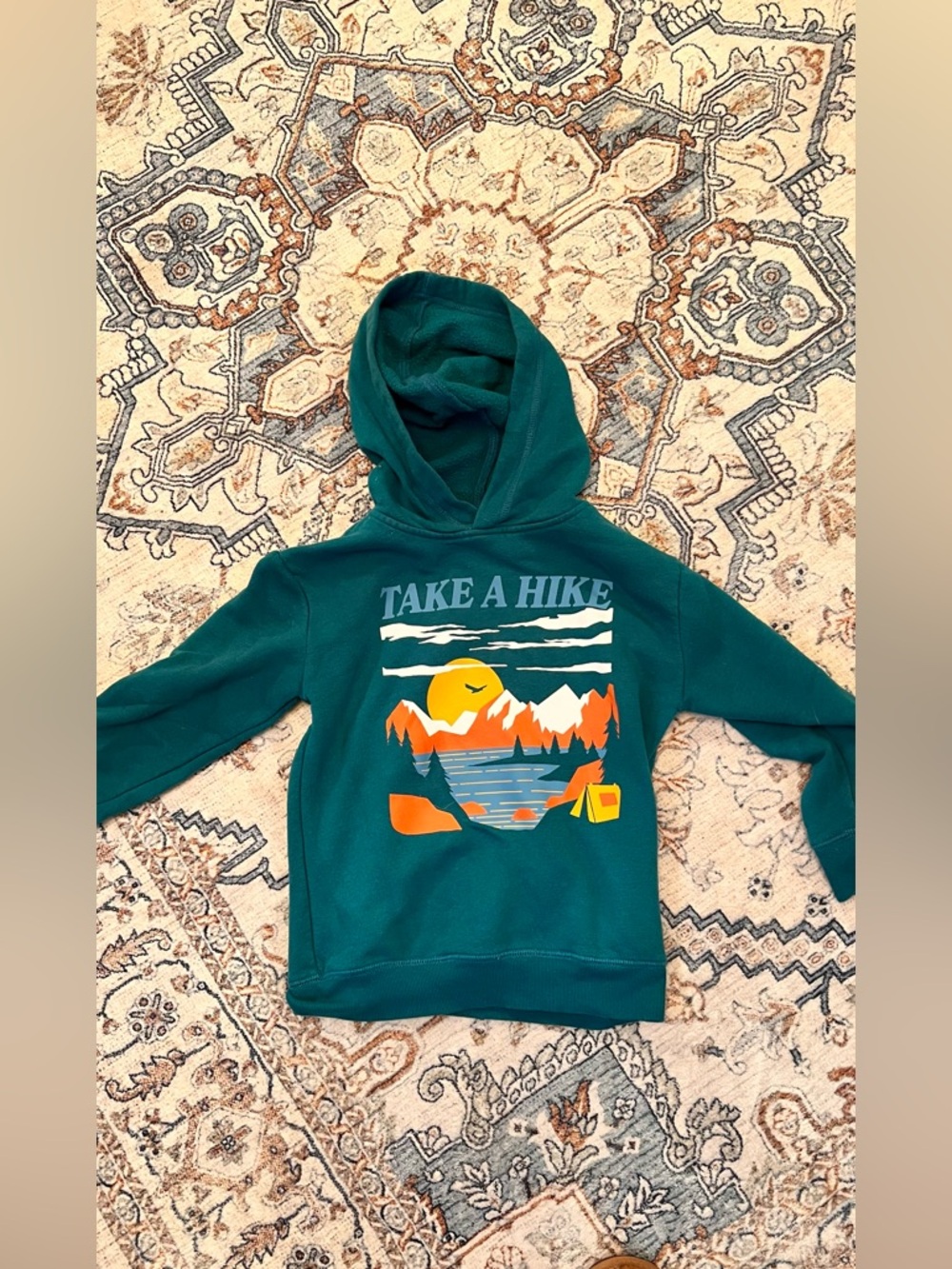 jumping beans Teal Hooded Sweatshirt with Mountain 'Take A Hike' Graphic